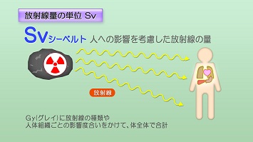 放射線量の単位Sv